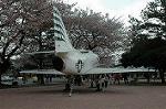 Dcim2526/DSC_0786