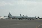 Dcim2528/DSC_1015