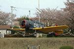Dcim2530/DSC_1210