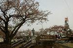 Dcim2530/DSC_1222