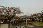 Dcim2530/DSC_1225