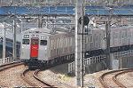 Dcim2531/DSC_4994