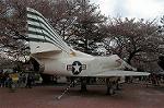 Dcim2531/DSC_5045