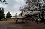 Dcim2531/DSC_5048