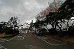 Dcim2531/DSC_5070
