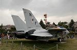 Dcim2531/DSC_5080
