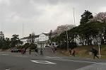 Dcim2531/DSC_5087