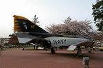 Dcim2534/DSC_5416