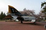 Dcim2534/DSC_5417