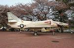 Dcim2534/DSC_5434