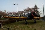 Dcim2534/DSC_5444