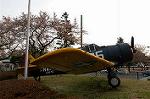 Dcim2534/DSC_5446