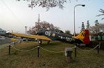 Dcim2534/DSC_5448