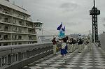 Dcim2549/DSC_2226