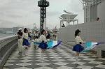 Dcim2549/DSC_2231