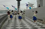 Dcim2549/DSC_2237