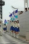 Dcim2549/DSC_2252