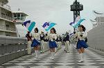 Dcim2549/DSC_2256