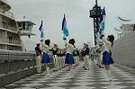 Dcim2549/DSC_2260