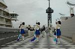 Dcim2550/DSC_2273