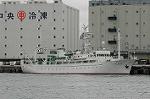 Dcim2553/DSC_2660