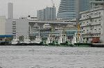 Dcim2553/DSC_2664