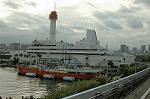 Dcim2554/DSC_2728