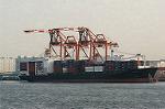 Dcim2563/DSC_6677