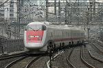 Dcim2581/DSC_4994