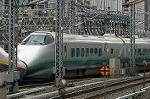 Dcim2581/DSC_5005