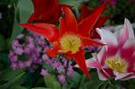 Dcim2584/DSC_5165