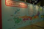 Dcim2584/DSC_5231