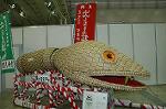 Dcim2584/DSC_5239