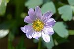 Dcim2610/DSC_0771