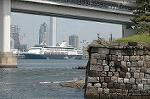 Dcim2617/DSC_7294