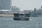 Dcim2617/DSC_7308