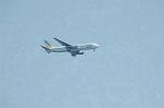 Dcim2625/DSC_7604