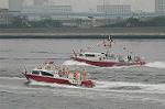Dcim2643/DSC_8696