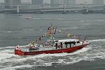 Dcim2648/DSC_2113