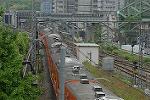 Dcim2653/DSC_2341