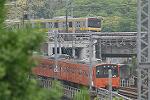 Dcim2654/DSC_2394