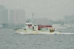 Dcim2662/DSC_9666
