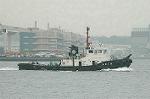 Dcim2662/DSC_9684