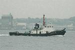 Dcim2662/DSC_9685