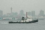 Dcim2662/DSC_9687