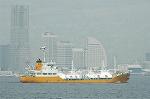 Dcim2663/DSC_9767