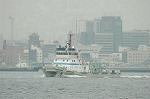 Dcim2663/DSC_9869