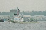 Dcim2663/DSC_9873