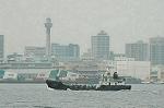 Dcim2664/DSC_9891
