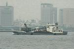 Dcim2664/DSC_9917